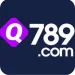 Q789 Game